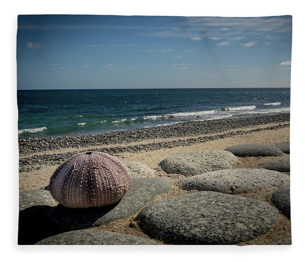 Color Fleece Blanket featuring the photograph Sea Urchin View by Jean Noren