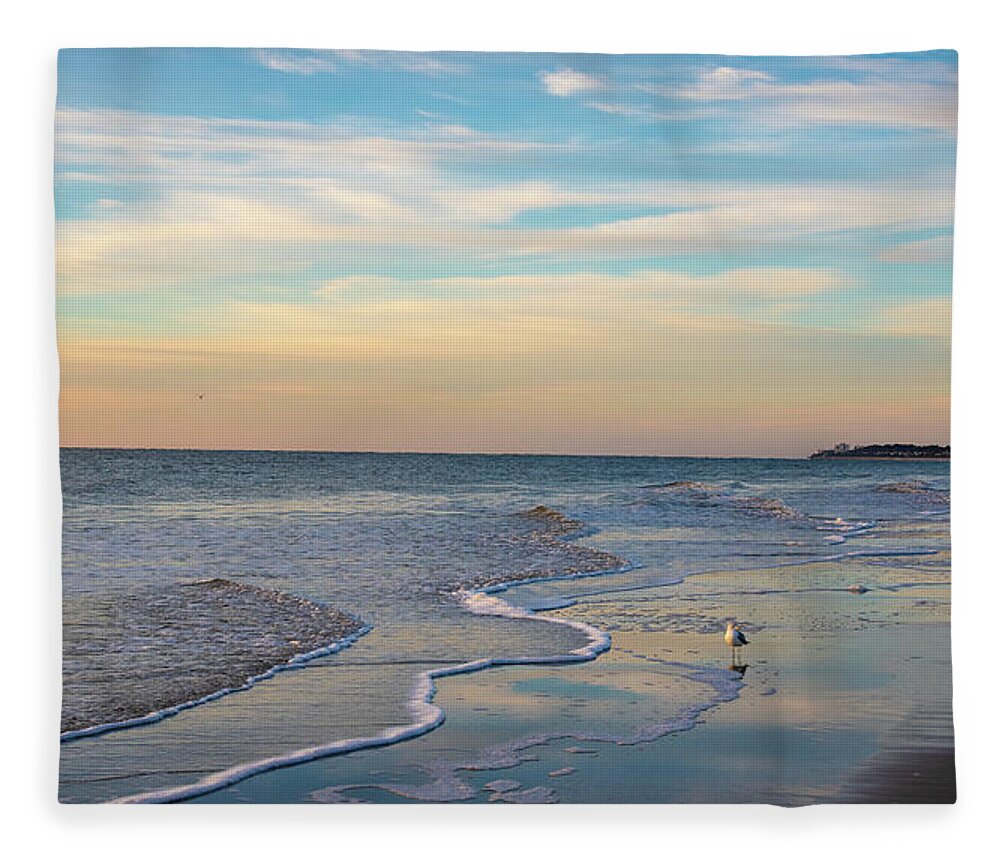 Seagull Fleece Blanket featuring the photograph Seagull On The Beach by Dennis Schmidt
