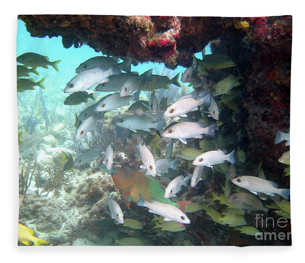 Underwater Fleece Blanket featuring the photograph Seascape at Horseshoe Reef 1 by Daryl Duda
