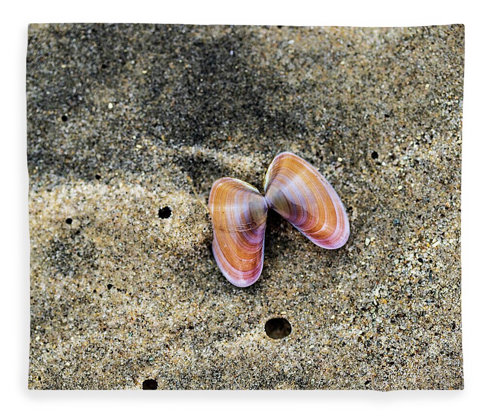 Sea Shell Fleece Blanket featuring the photograph Landscape Photography - Beaches by Amelia Pearn