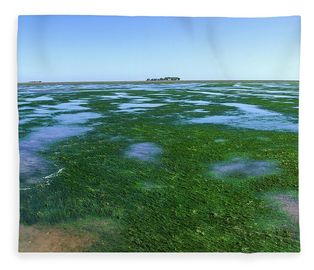 Wadden Sea Fleece Blanket featuring the photograph Seaweed near Hooge by Sun Travels