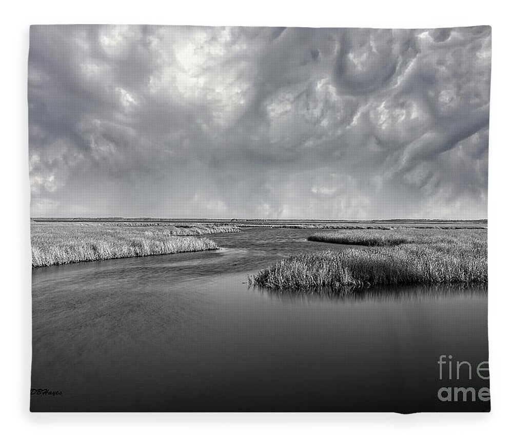 Landscape Fleece Blanket featuring the photograph Serenity Before The Storm by DB Hayes