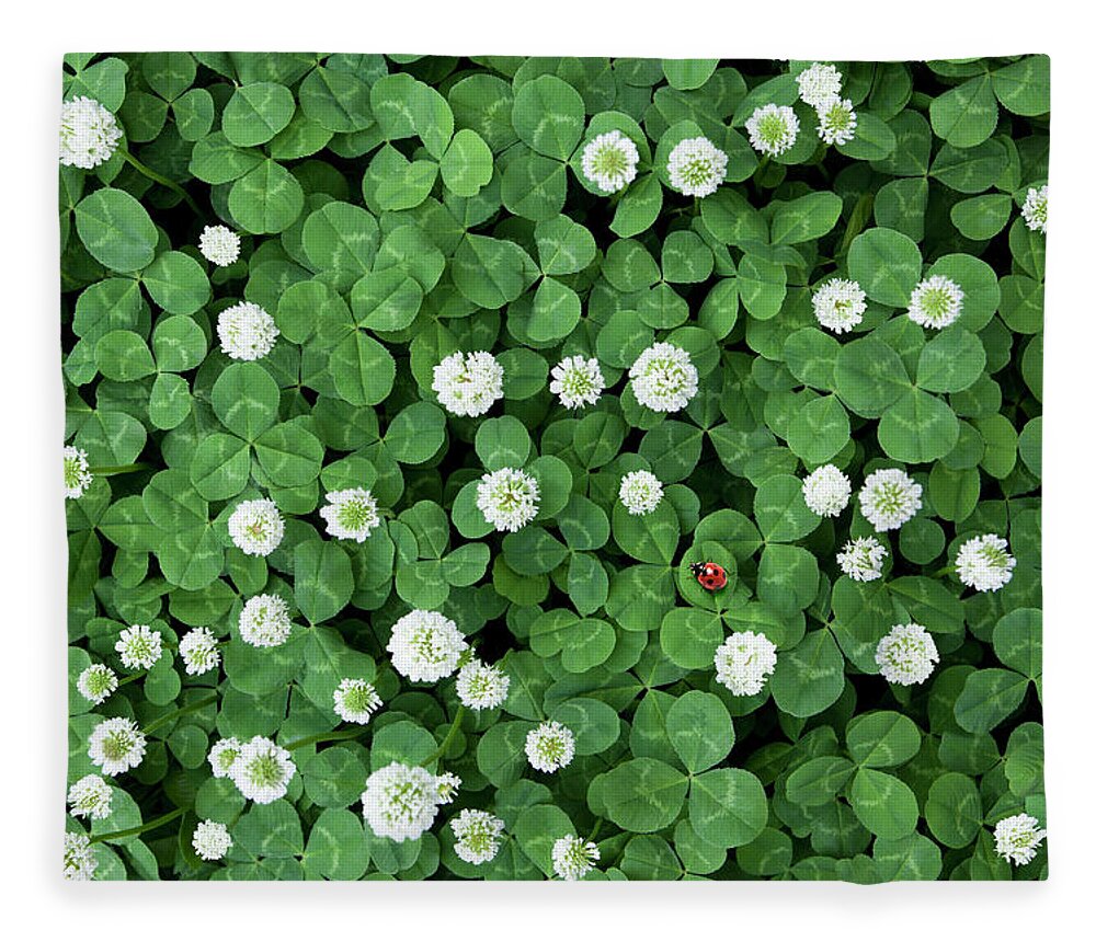 Nagoya Fleece Blanket featuring the photograph Seven-spot Ladybird In Clover Field by H&c Studio