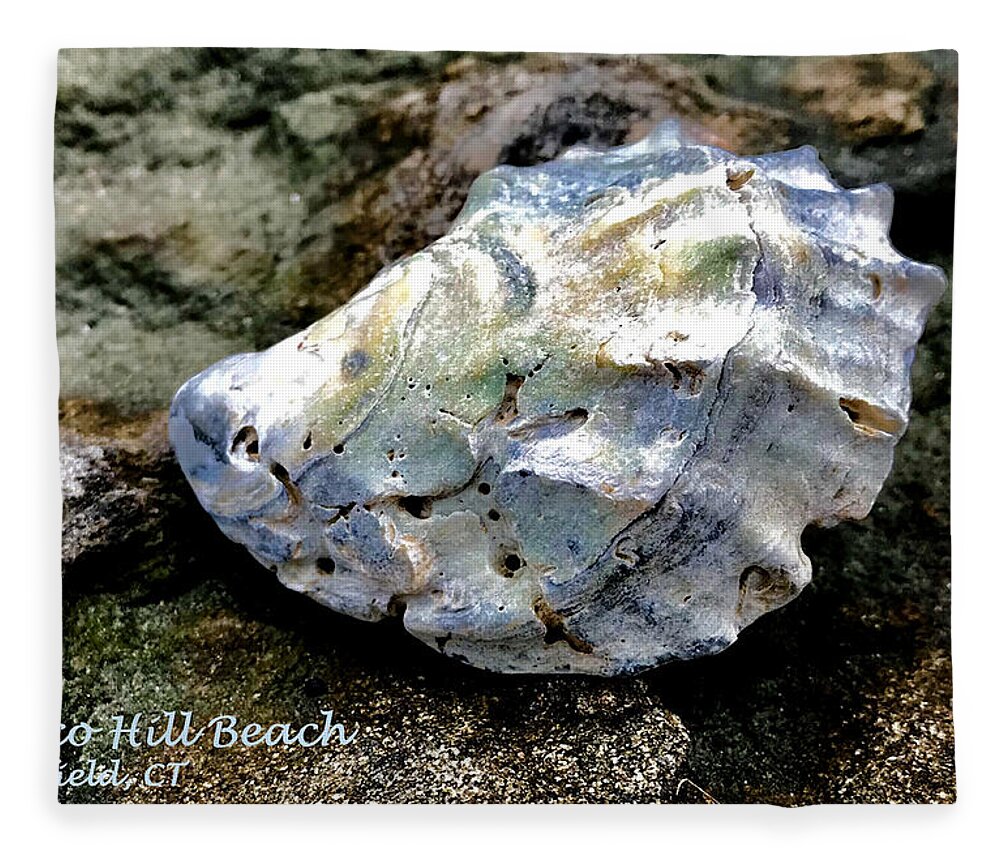 Oyster Fleece Blanket featuring the photograph Shell on Jetty Sasco Hill by Tom Johnson