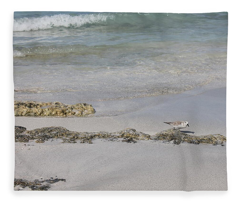 Shorebird Fleece Blanket featuring the photograph Shorebird by Ruth Kamenev