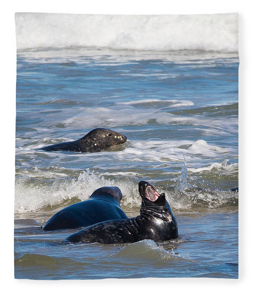 Gray Seal Fleece Blanket featuring the photograph Show Me Your Teeth by Linda Bonaccorsi