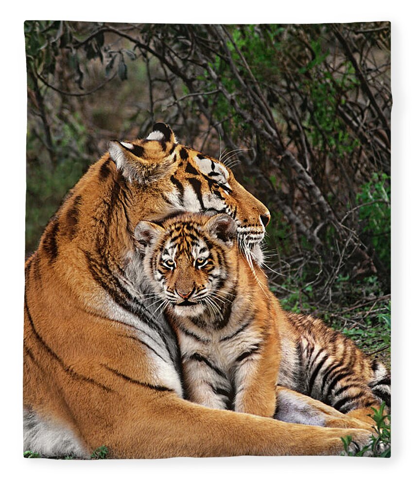 Siberian Tiger Fleece Blanket featuring the photograph Siberian Tiger Mother and Cub Endangered Species Wildlife Rescue by Dave Welling