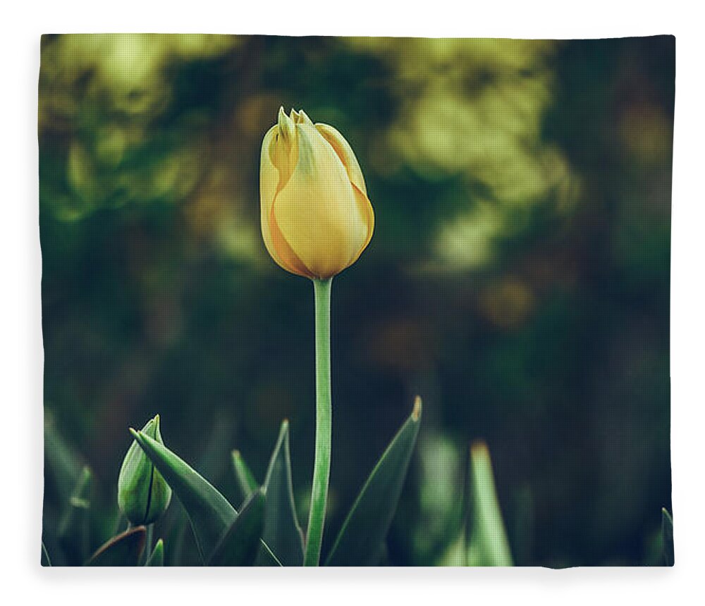  Fleece Blanket featuring the photograph Silence is Golden by Dheeraj Mutha