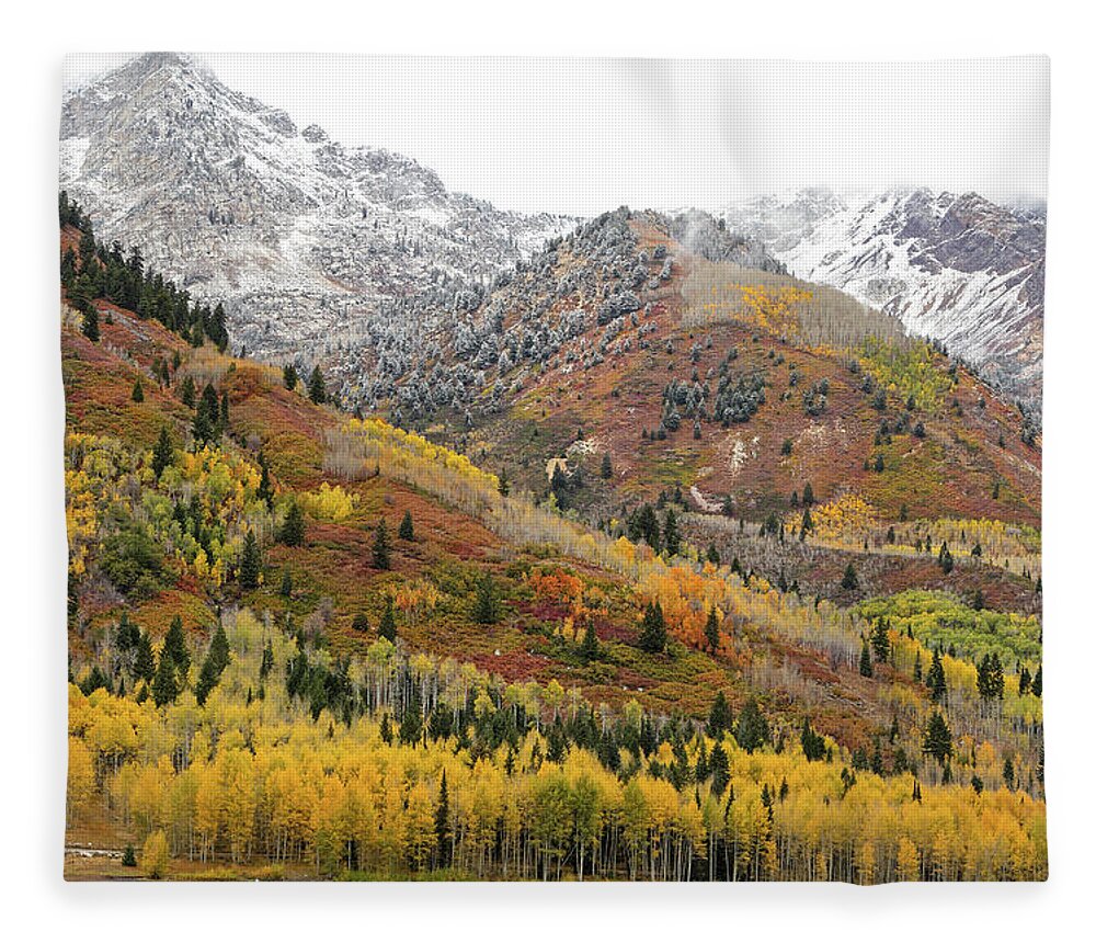 Utah Fleece Blanket featuring the photograph Silver Lake Flat with Fall Colors - American Fork Canyon, Utah by Brett Pelletier