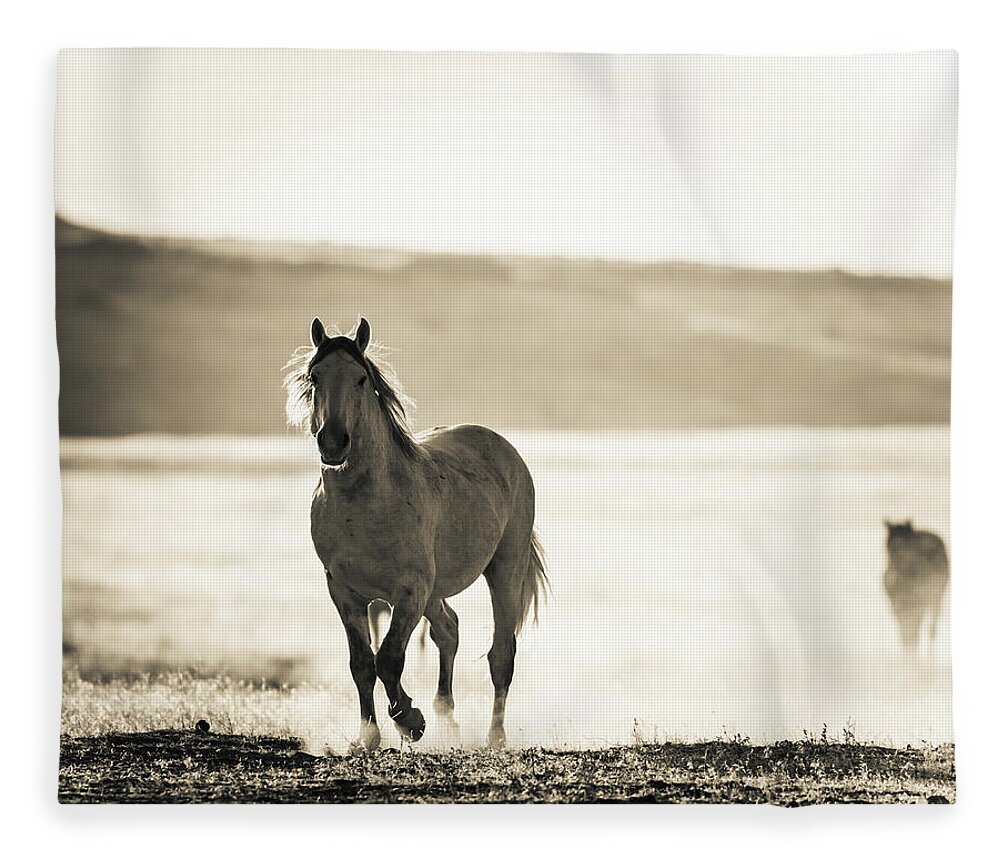 Wild Horses Fleece Blanket featuring the photograph Silver by Mary Hone