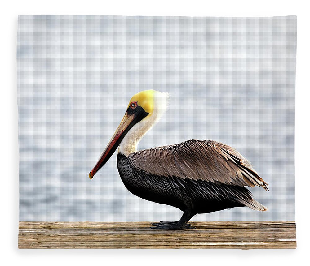 Pelican Fleece Blanket featuring the photograph Sitting on the Dock of the Bay by Susan Rissi Tregoning