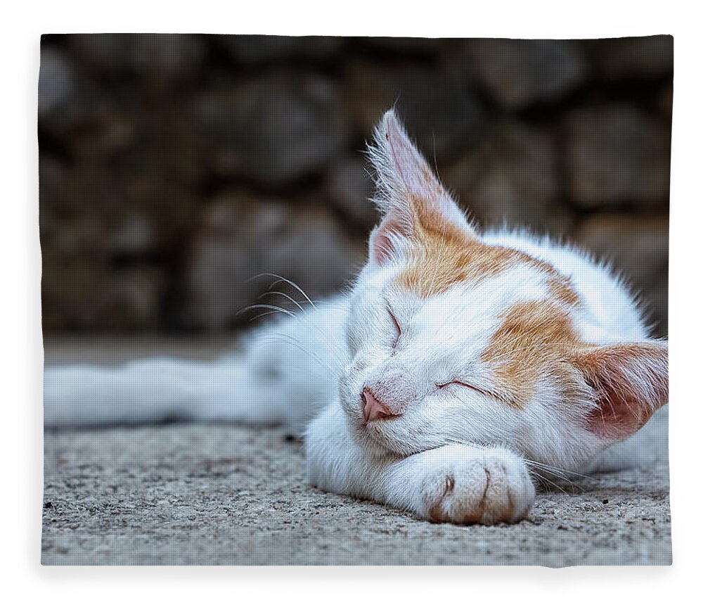 Animal Fleece Blanket featuring the photograph Sleeping Kitty by Rick Deacon
