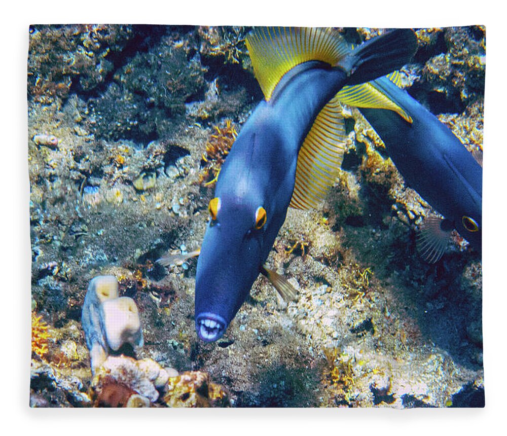 Trigger Fish Fleece Blanket featuring the photograph Smile for the Camera by Anthony Jones