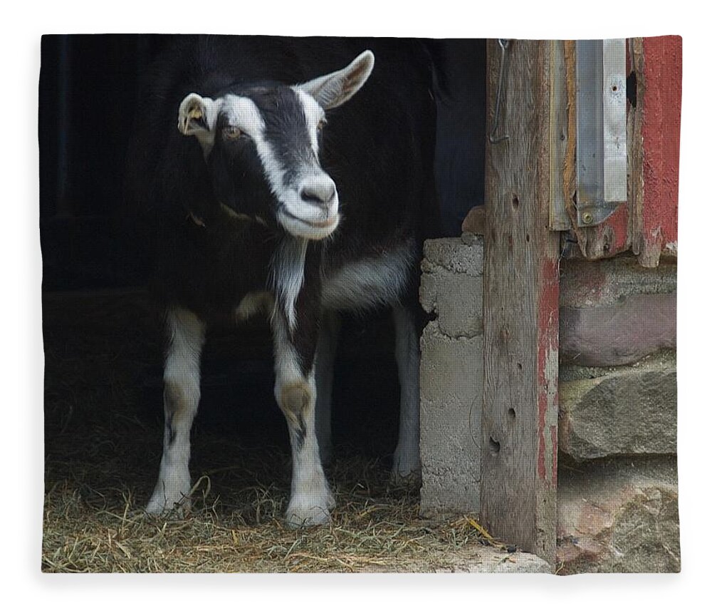 Animals Fleece Blanket featuring the photograph Smiling Goat by Marty Klar