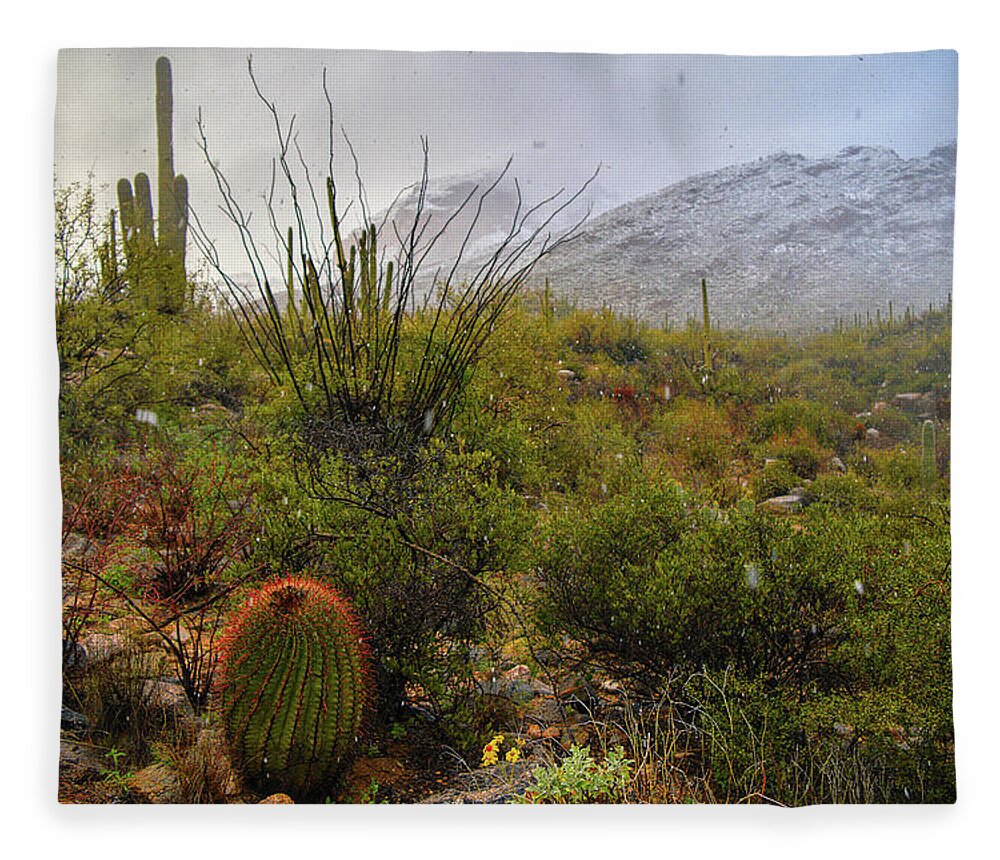 Tucson Fleece Blanket featuring the photograph Snow in the Desert by Chance Kafka