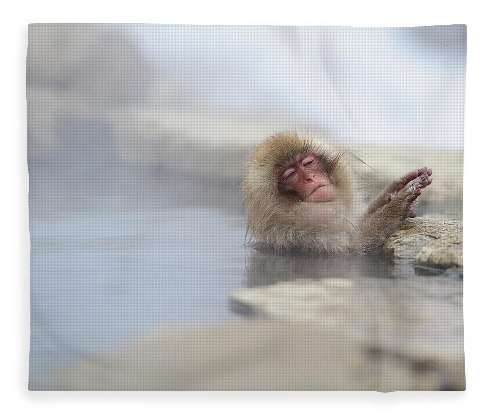Animal Themes Fleece Blanket featuring the photograph Snow Monkey by By Alan Tsai
