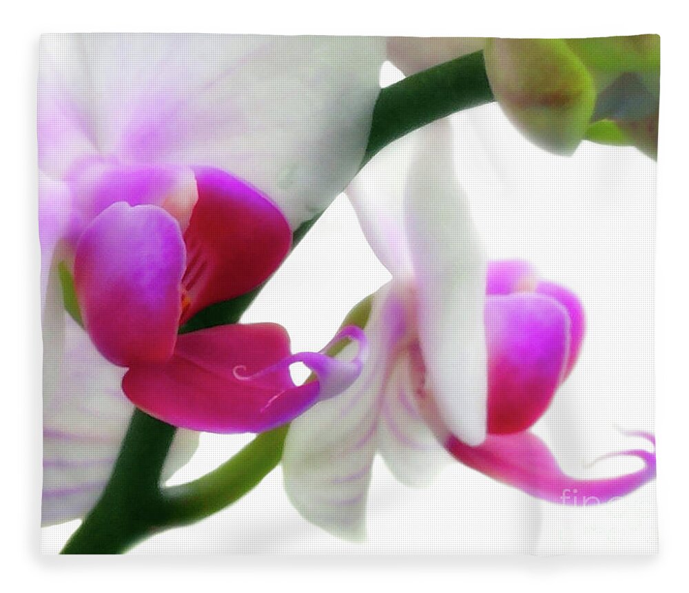 Orchid Fleece Blanket featuring the photograph Soft Glow Pink Orchid by Amy Dundon