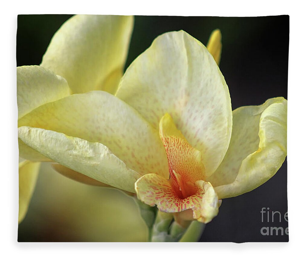 Canna Lily Fleece Blanket featuring the photograph Softly Speckled by Karen Adams