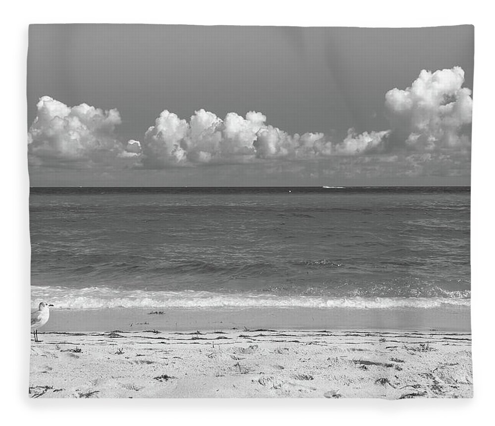 Beach Fleece Blanket featuring the photograph Solitude by Alison Frank