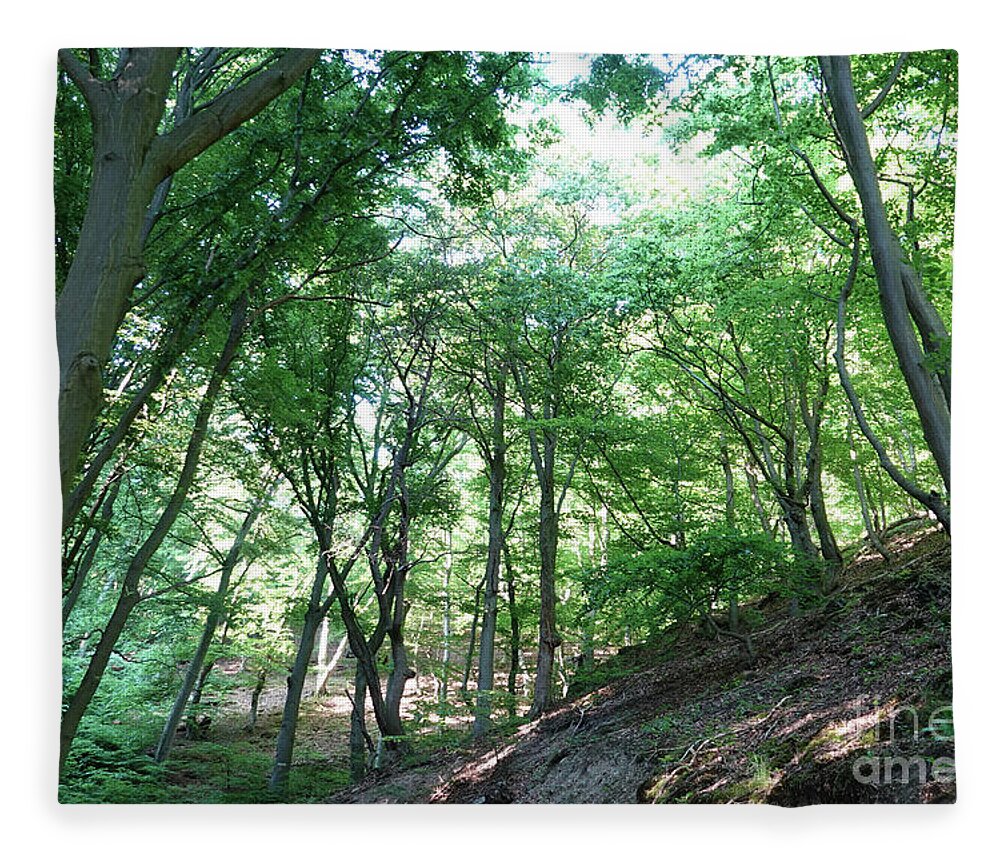 Baum Fleece Blanket featuring the photograph Sommer Wald - Summer Forest by Eva-Maria Di Bella