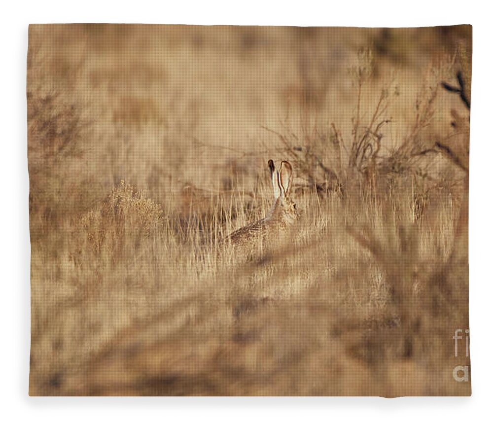 Desert Rabbit Fleece Blanket featuring the photograph Southwest Bunny by Robert WK Clark