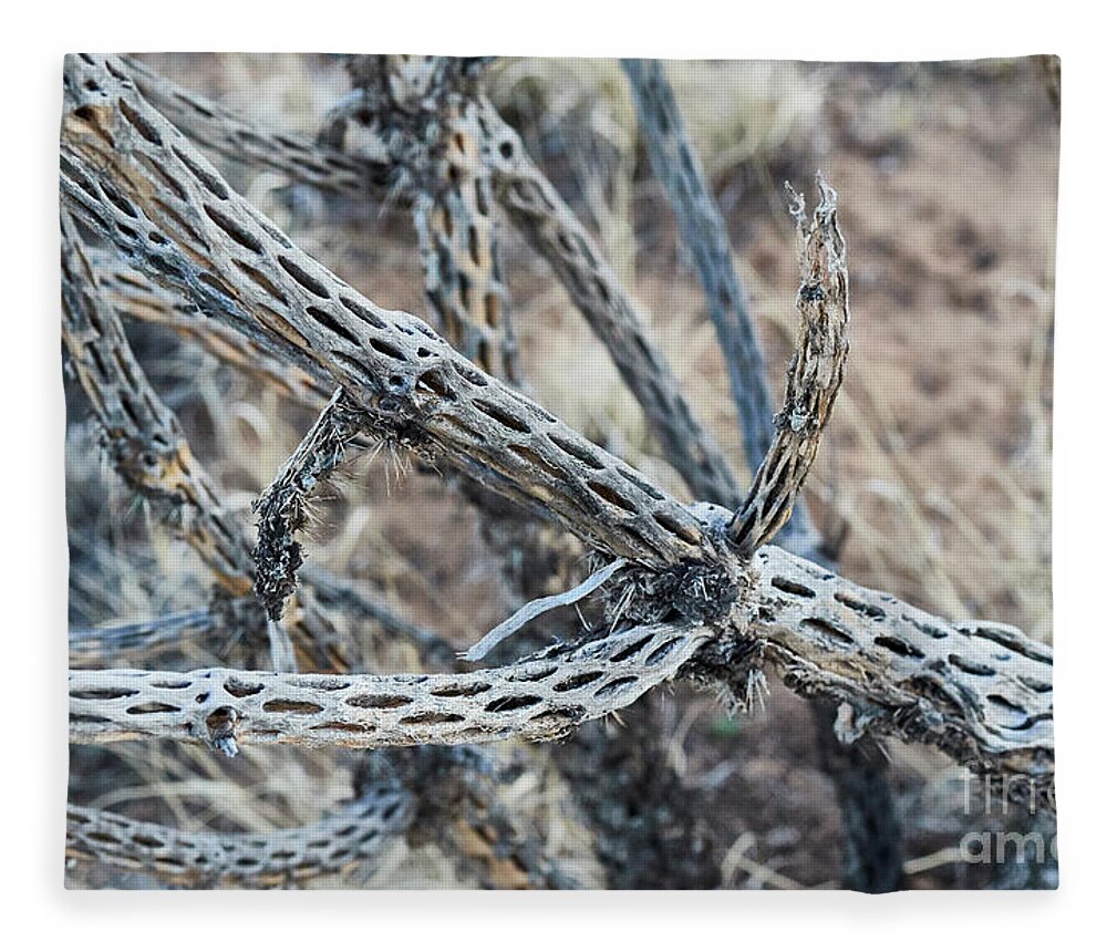New Mexico Desert Fleece Blanket featuring the photograph Southwest Dead Cactus by Robert WK Clark
