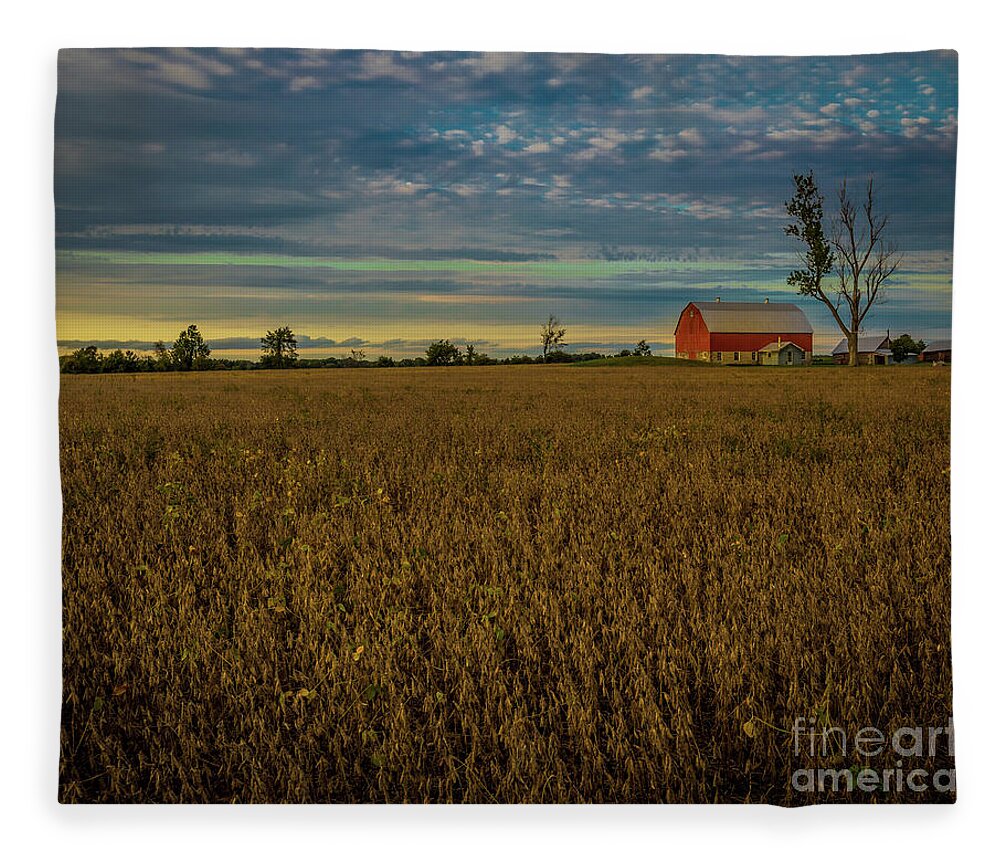 Agriculture Fleece Blanket featuring the photograph Soybean Sunset by Roger Monahan