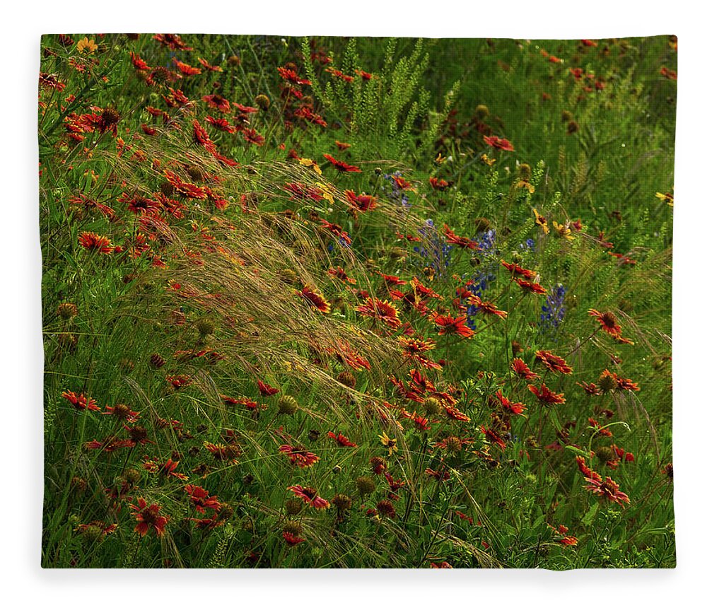 Paintbrushes Fleece Blanket featuring the photograph Spear Grass by Johnny Boyd