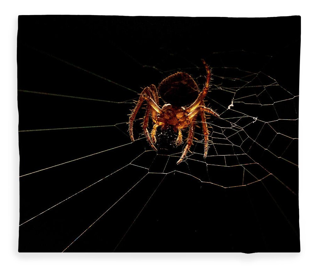 Animal Fleece Blanket featuring the photograph Macro Photography - Spider on Web by Amelia Pearn