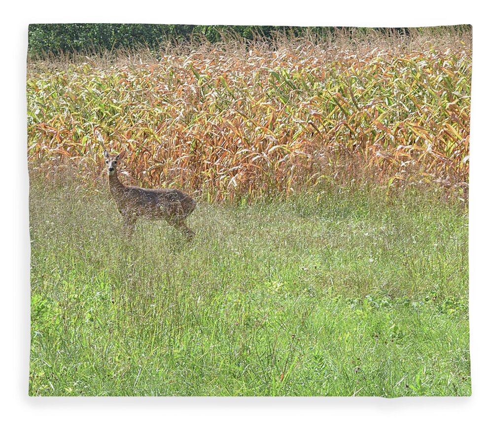 Deer Fleece Blanket featuring the photograph Spooked by Deborah Crew-Johnson
