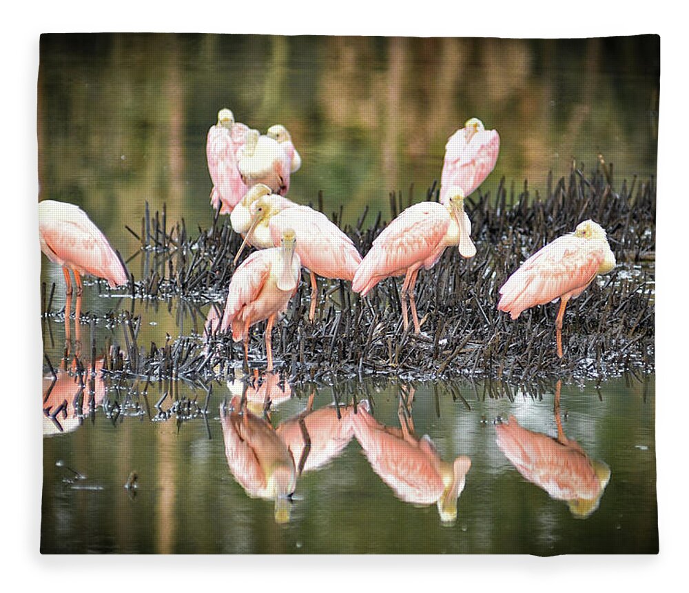 Spoonbill Fleece Blanket featuring the photograph Spoonbill Reflection by Scott Hansen