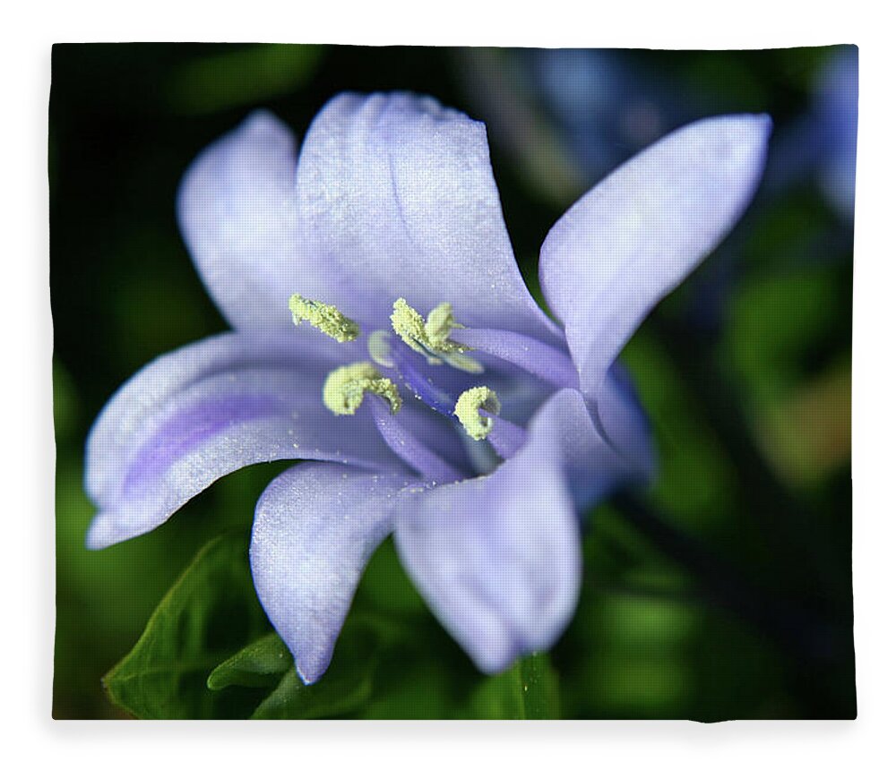 Season Fleece Blanket featuring the photograph Spring Bluebell by Chrissteer