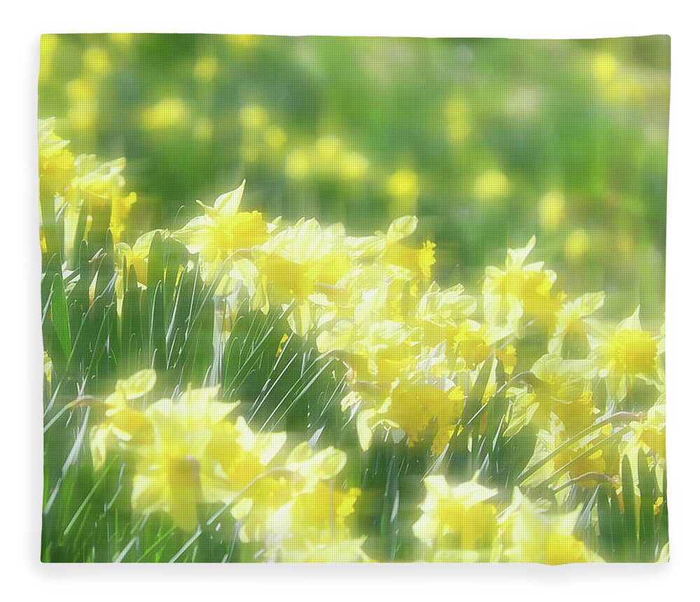 Daffodils Fleece Blanket featuring the photograph Spring Daffodils by Kenneth Krolikowski