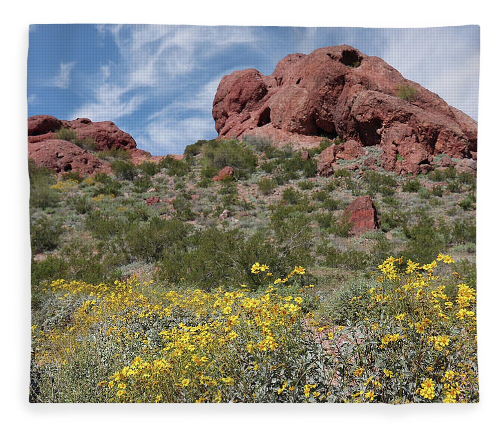Spring Fleece Blanket featuring the photograph Spring Flowers at Papago Park by David T Wilkinson