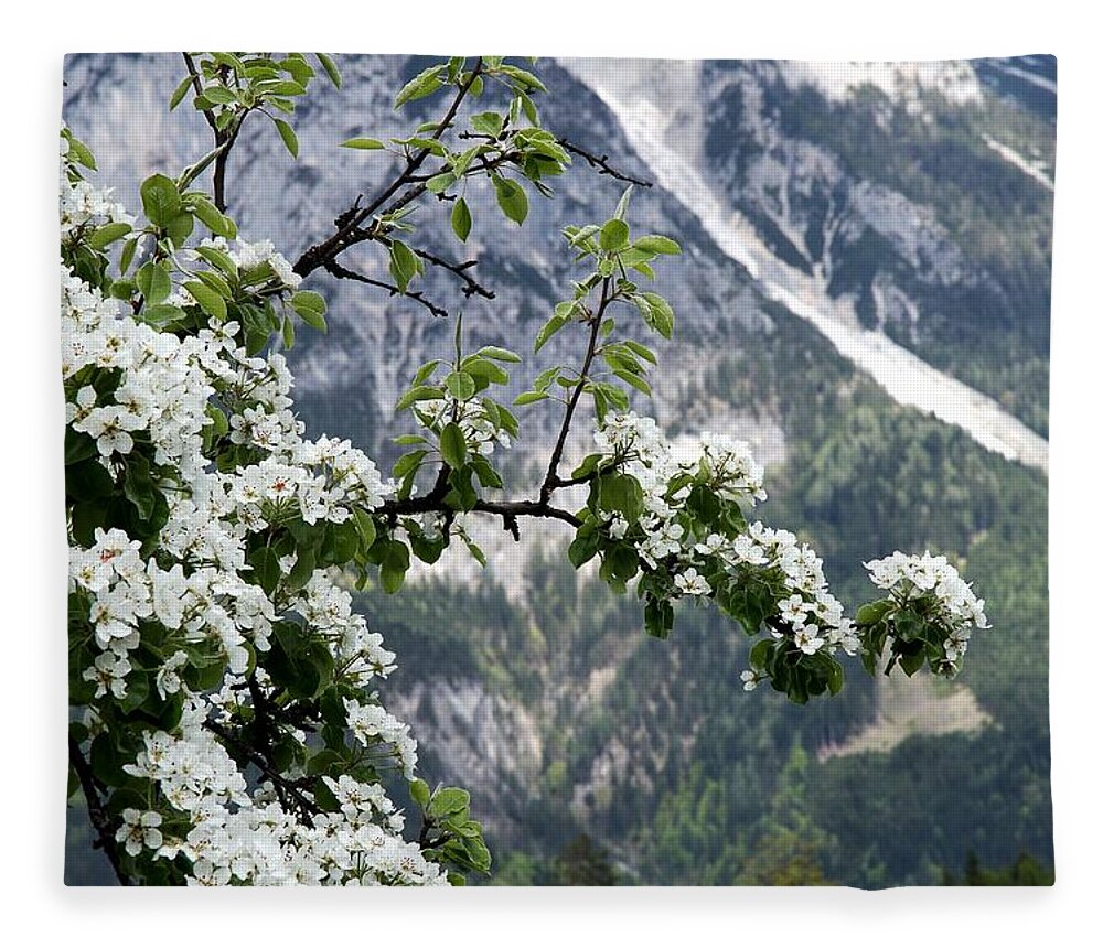 European Alps Fleece Blanket featuring the photograph Spring In Alps by Sola Deo Gloria