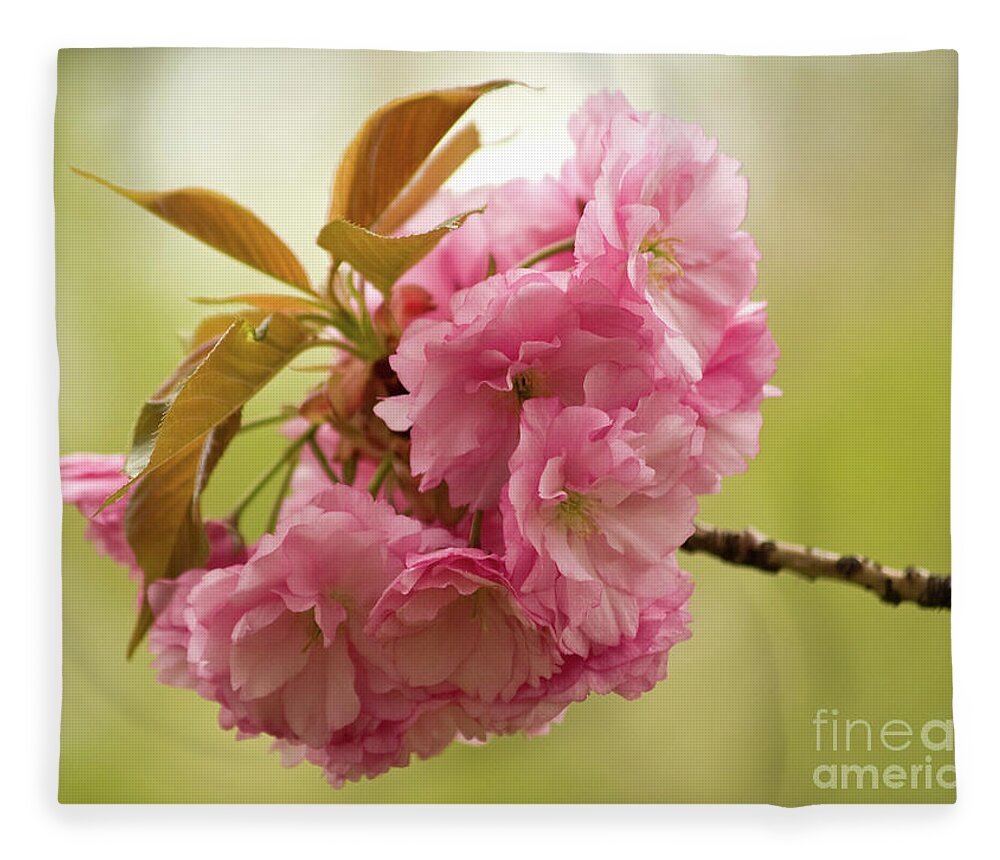 Central Park Fleece Blanket featuring the photograph Springtime Blossoms In Central Park 3 by Dorothy Lee