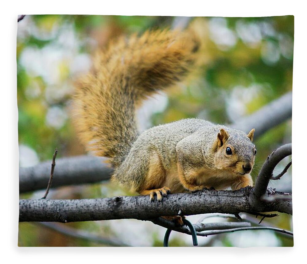 Fox Squirrel Fleece Blanket featuring the photograph Squirrel Crouching On Tree Limb by Don Northup