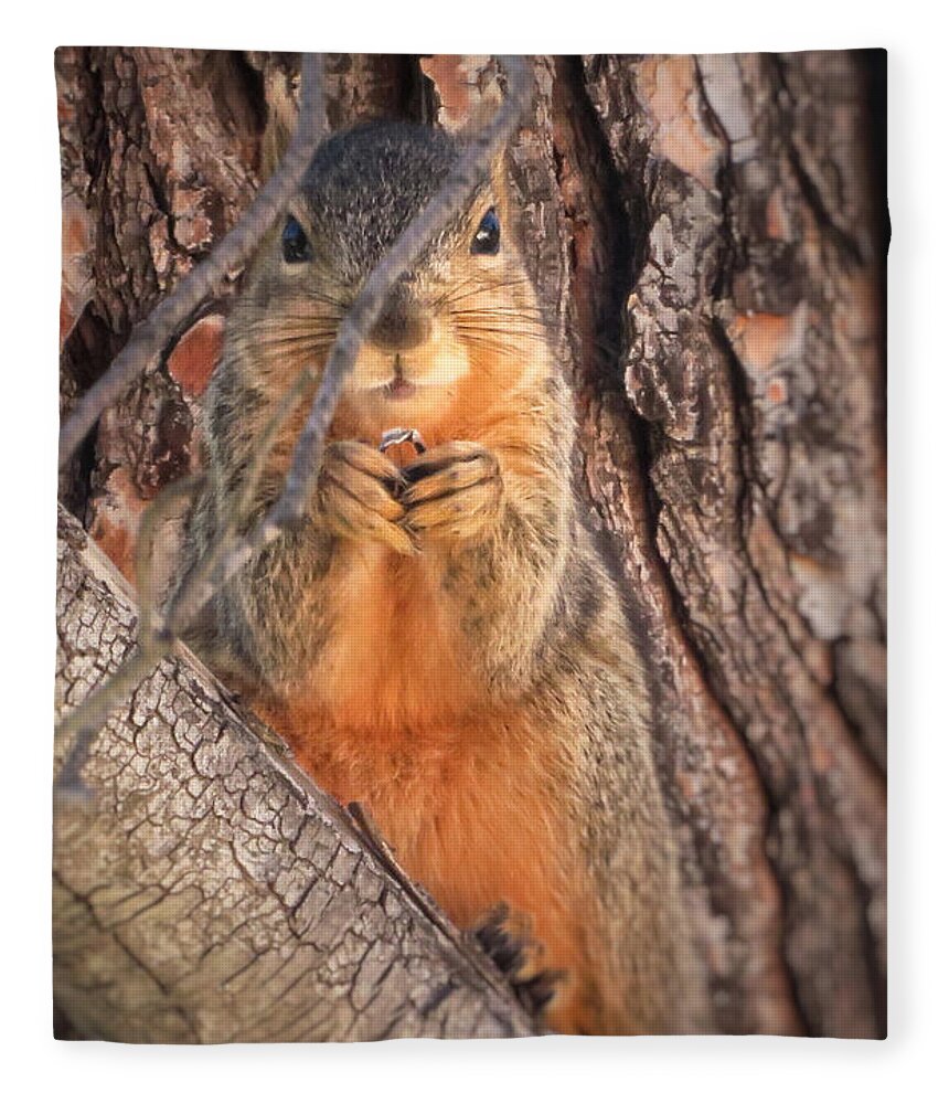 Squirrel Fleece Blanket featuring the photograph Squirrel eating in tree by David Zumsteg