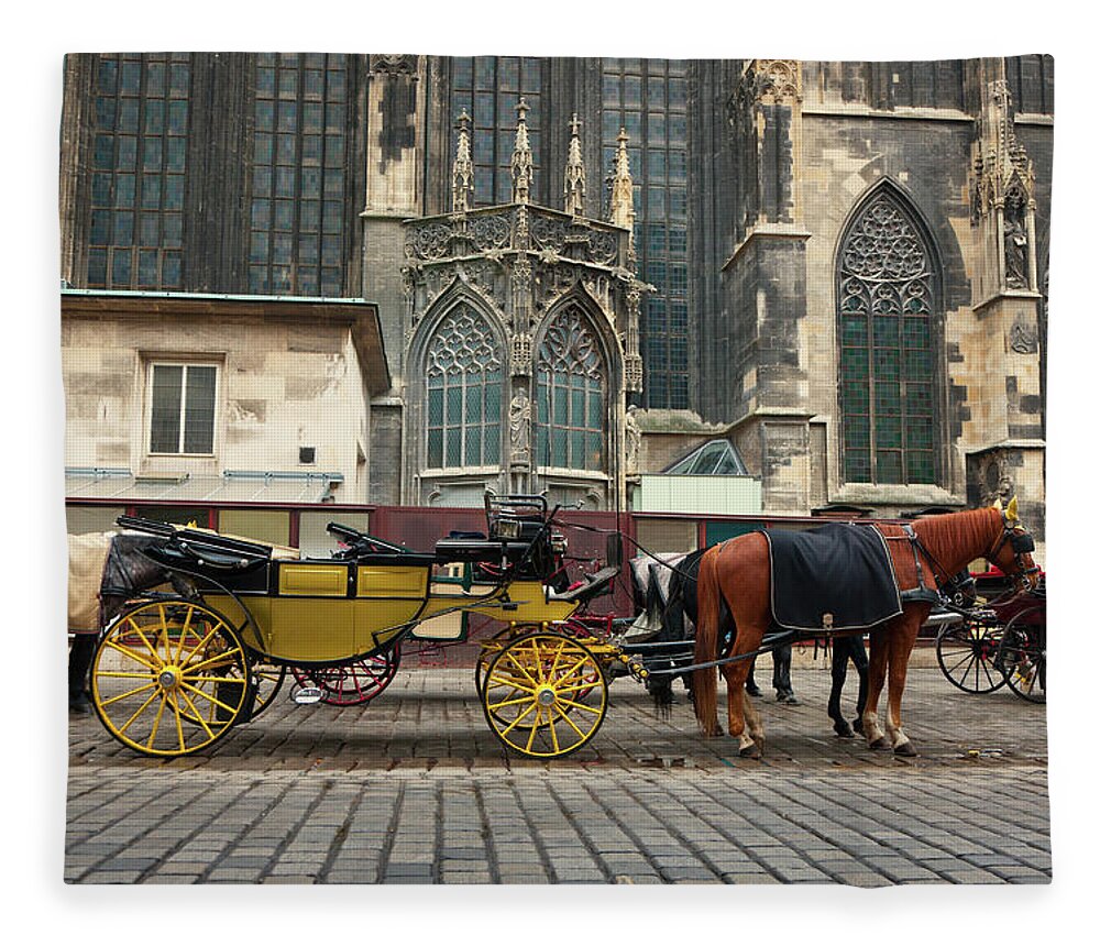 Horse Fleece Blanket featuring the photograph Stephansdom Horse Drawn Carriage by Mlenny