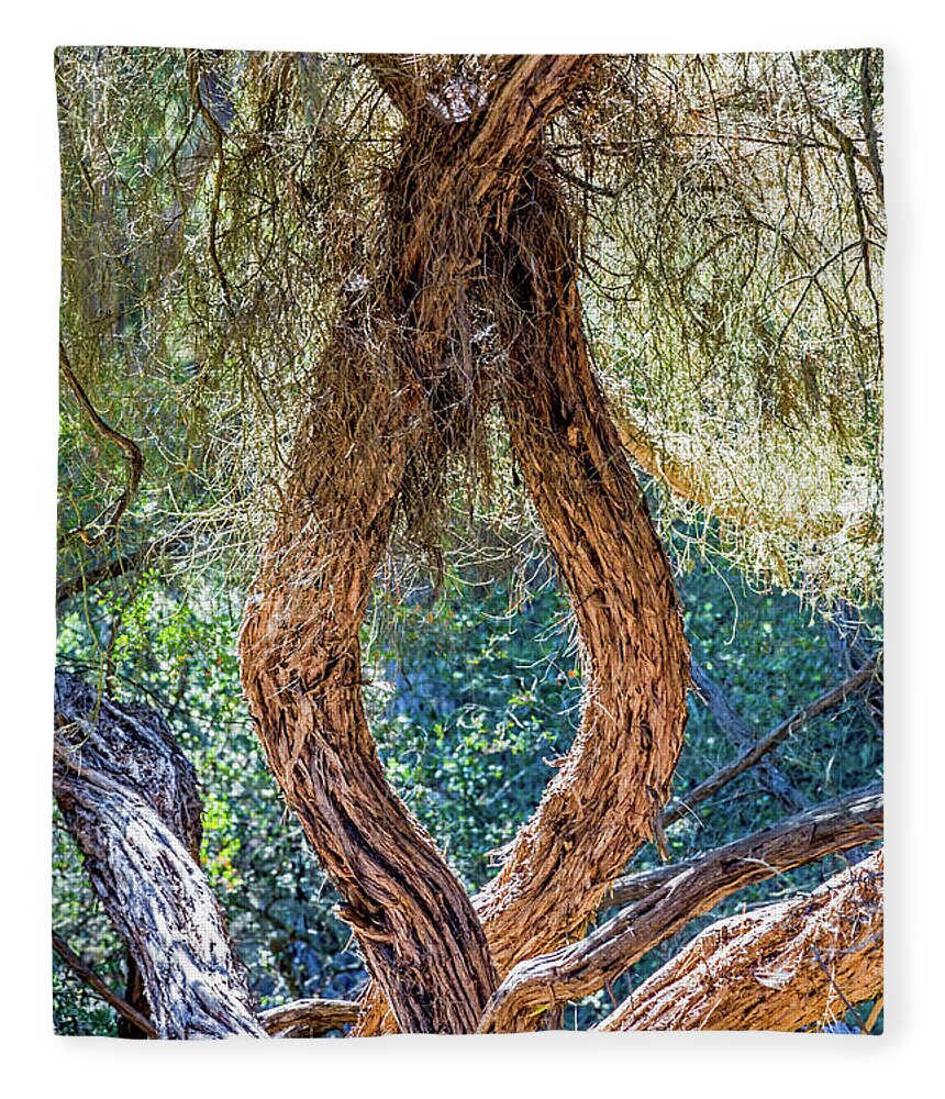 Tree Fleece Blanket featuring the photograph Strange Tree by Kate Brown