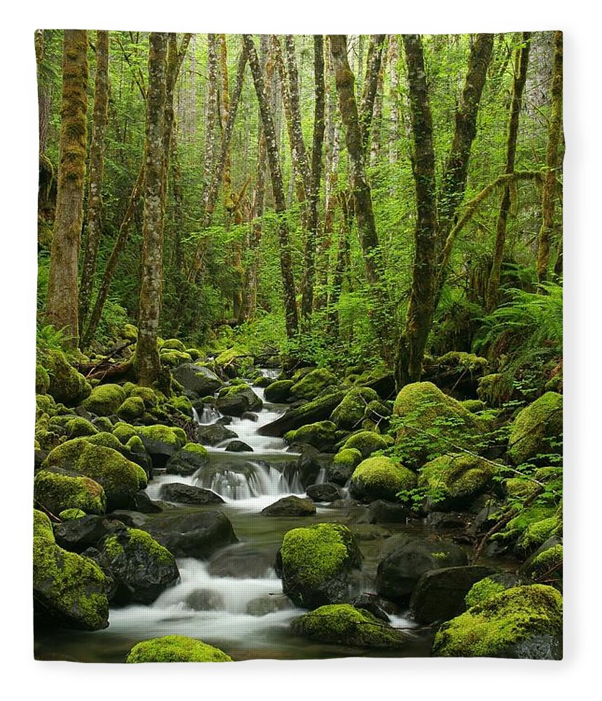Scenics Fleece Blanket featuring the photograph Stream Flowing Over Rocks by Jonkman Photography