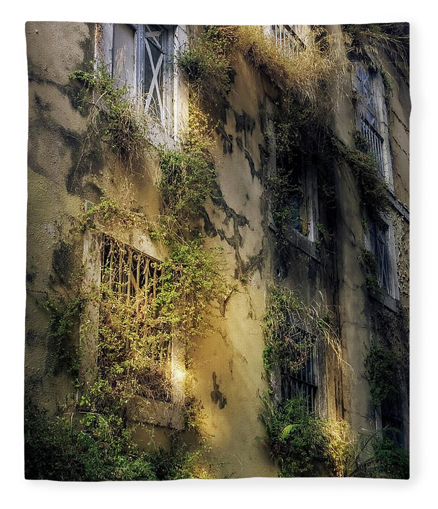 Vertical Garden Fleece Blanket featuring the photograph Sublease by Micah Offman
