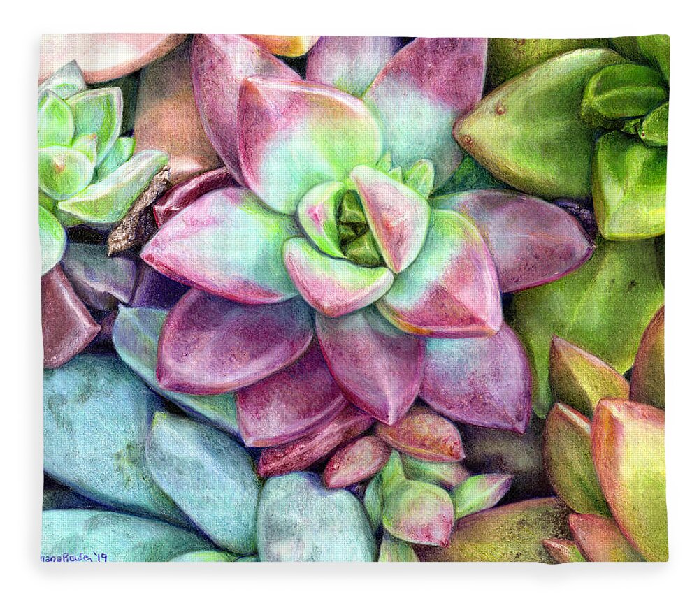 Succulent Fleece Blanket featuring the drawing Succulent Succulents by Shana Rowe Jackson