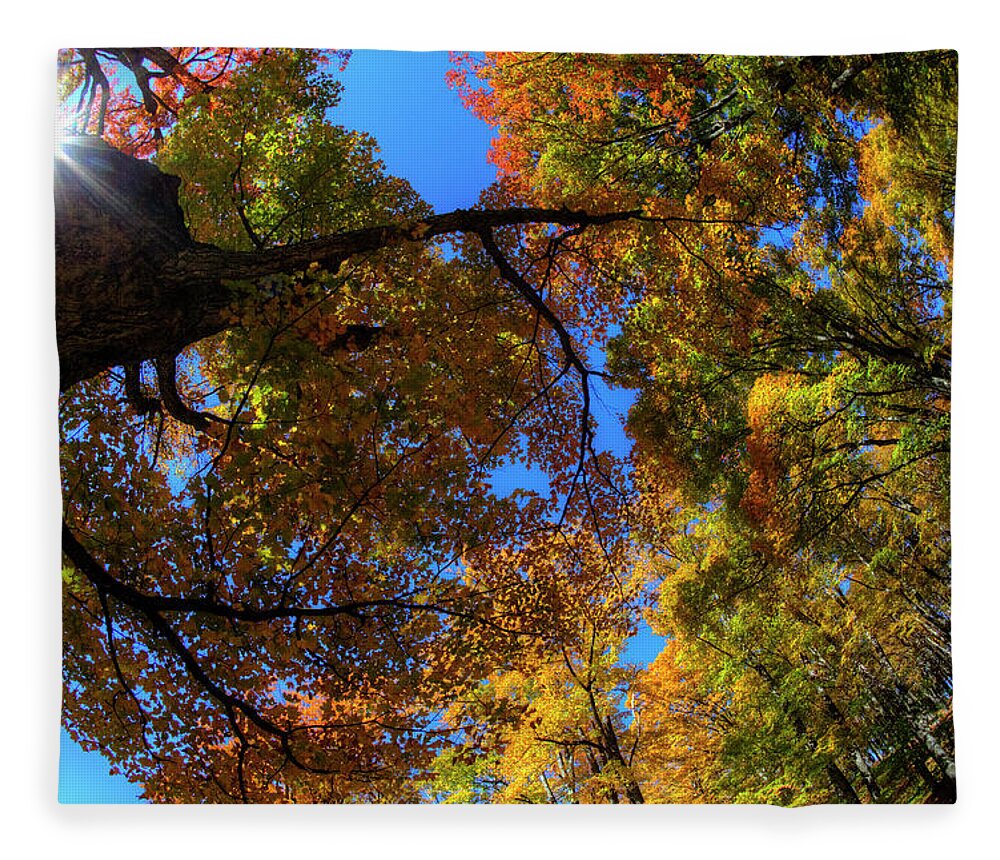 Scenics Fleece Blanket featuring the photograph Sugar Maple Looking Up Into Sun Star by Darrell Gulin