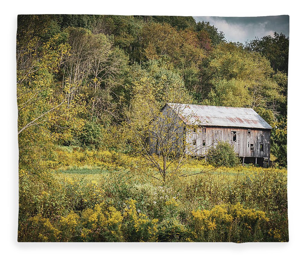 Summer Fleece Blanket featuring the photograph Summer Barn by Michelle Wittensoldner