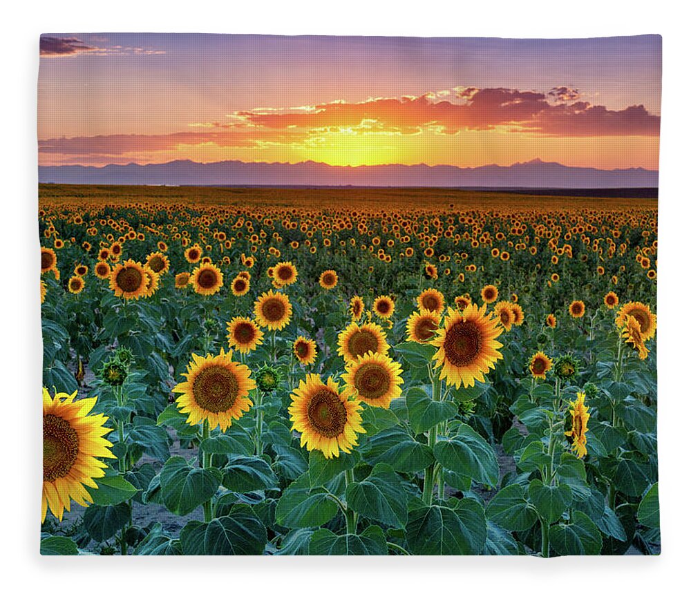 Colorado Fleece Blanket featuring the photograph Summer Romance by John De Bord