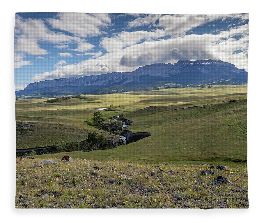 Sun River Wildlife Management Area Fleece Blanket featuring the photograph Sun River Wildlife Management Area 2014 by Thomas Young