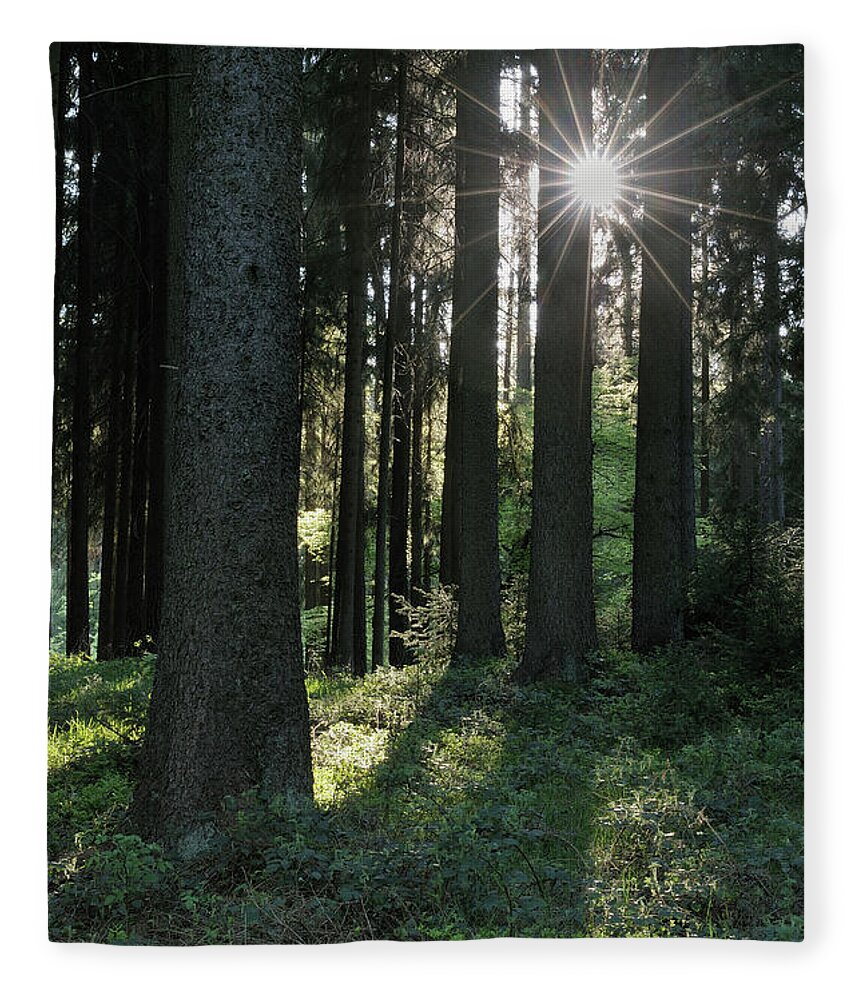 Scenics Fleece Blanket featuring the photograph Sunbeams In Forest by Martin Ruegner