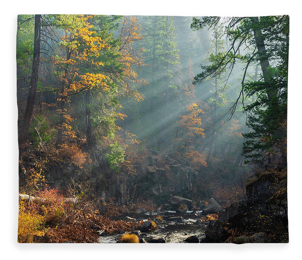 Mccloud Fleece Blanket featuring the photograph Sunbeams on the McCloud River by Don Hoekwater Photography