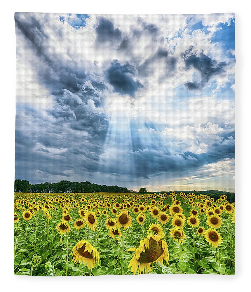 Sunflower Fleece Blanket featuring the photograph Sunflower Field by Brad Bellisle
